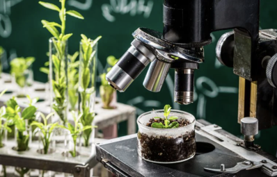 5 Fun Science Experiments to Try with WOWKIDS Microscopes